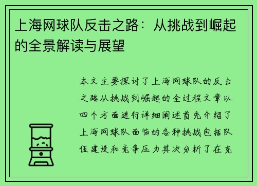 上海网球队反击之路：从挑战到崛起的全景解读与展望