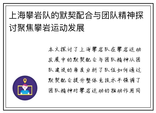 上海攀岩队的默契配合与团队精神探讨聚焦攀岩运动发展