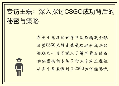专访王磊：深入探讨CSGO成功背后的秘密与策略